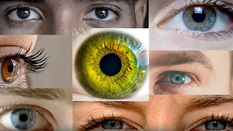 「Google Cloud Vision API」のイメージ画像