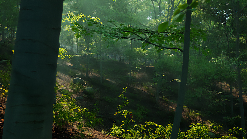 Unreal Engineで生み出したプロシージャル生成の画像