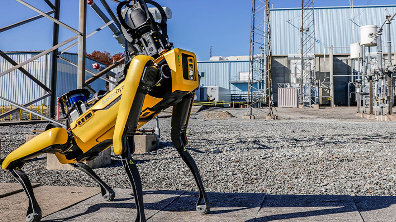 Spotの製品紹介画像