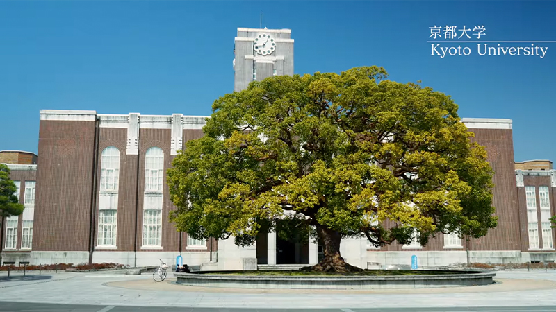 京都大学の全景