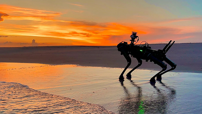 海岸にいるVision 60