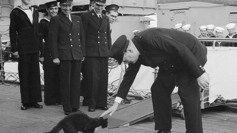1941年に撮影されたチャーチル首相と猫のブラッキー