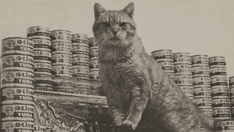 9livesの古い広告画像