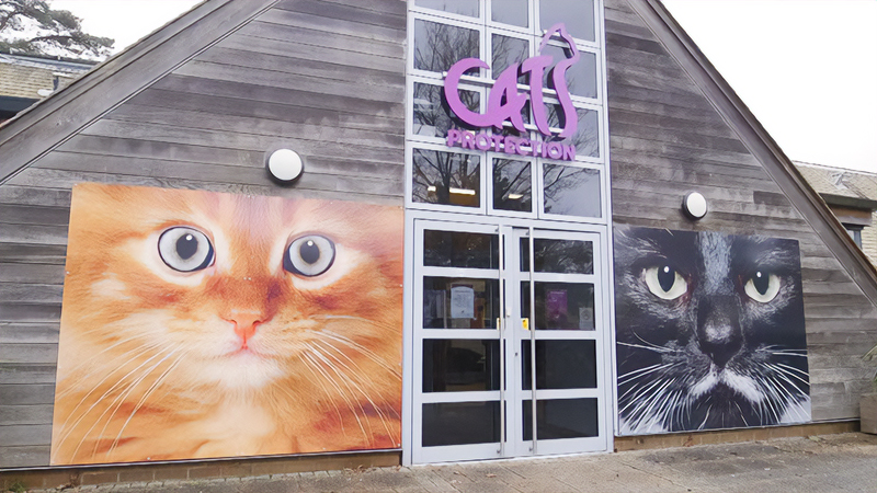 Cats Protectionの施設