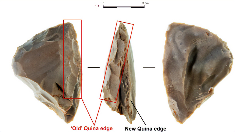 「古い加工面」と「新たな加工面」を両方残す石器