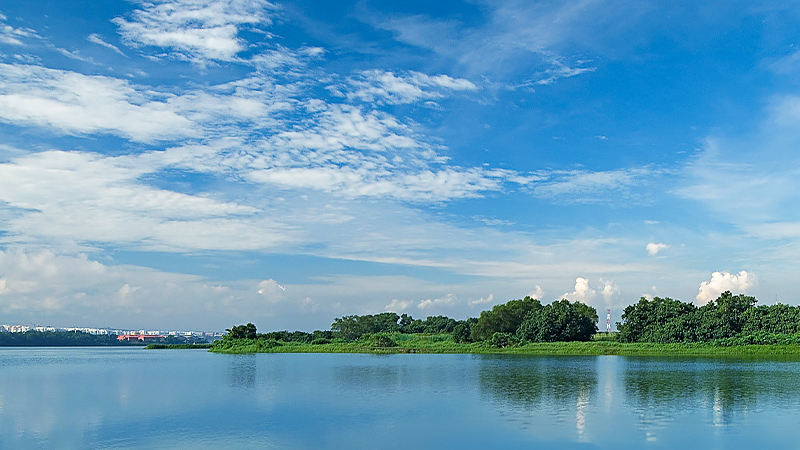 シンガポールの貯水池